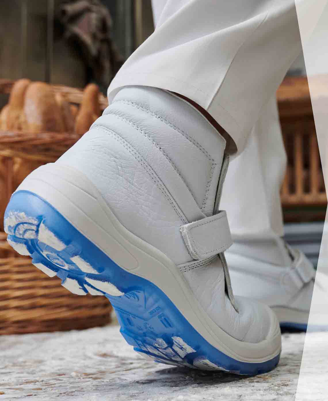 Línea Alimentación